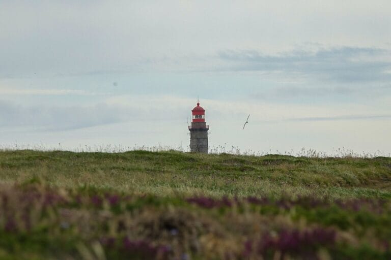 Latarnia morska na wyspie Belle Île en Mer wśród ziel
