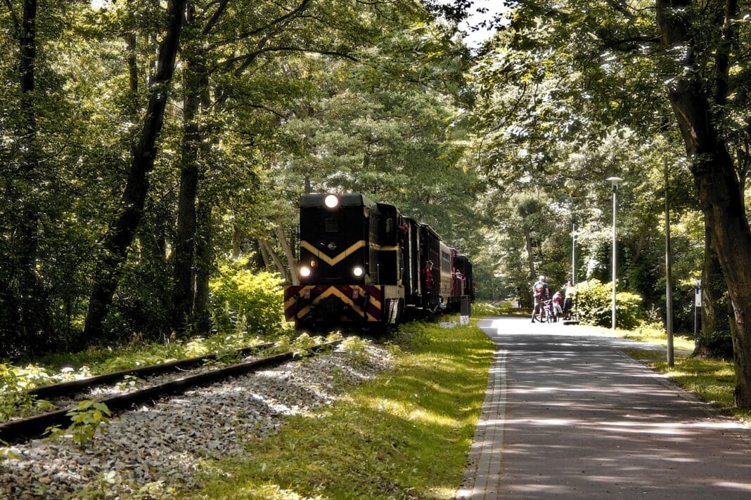 Velo Dunajec z dojazdem pociągiem: plan trasy, stacje i powrót z rowerem Velo Dunajec z dojazdem pociągiem: plan trasy, stacje i powrót z rowerem