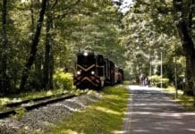 Velo Dunajec z dojazdem pociągiem: plan trasy, stacje i powrót z rowerem Velo Dunajec z dojazdem pociągiem: plan trasy, stacje i powrót z rowerem